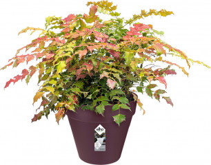 Květináč 25x22cm | morušový matný č.1