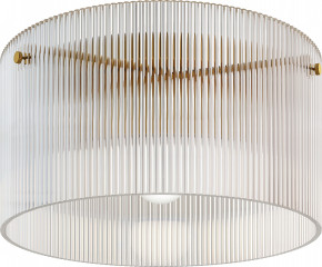 Stropní svítidlo 32x16,5 cm | průhledné Stropní svítidlo 32x16,5 cm | průhledné