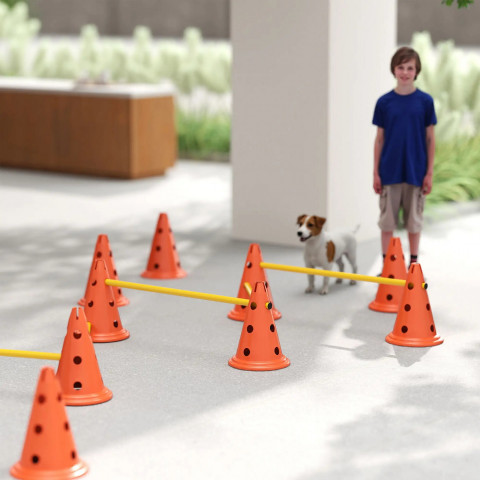 Agility překážky pro psy | oranžové + žluté č.4