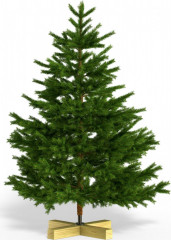 Umělý vánoční stromek Premium 150cm