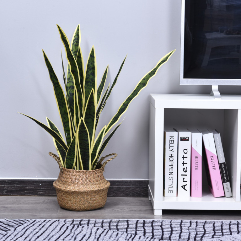 Umělá rostlina - sanseverie | zelená/žlutá