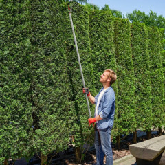 Nůžky na větve 1,8 m | stříbrné + červené č.1