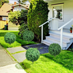 Sada 2 umělých zimostrázů 70 cm | zelené č.1