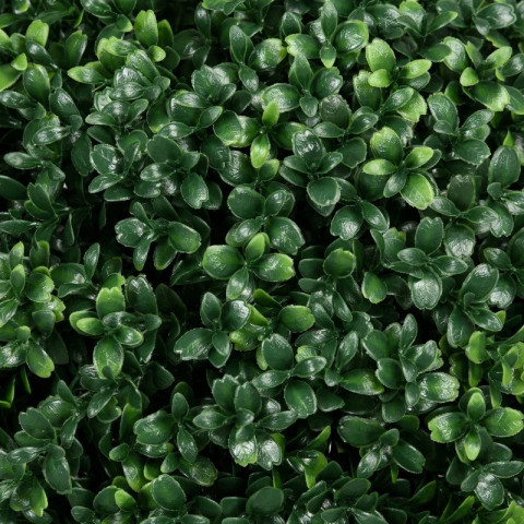 Sada 2 umělých zimostrázů 70 cm | zelené č.4