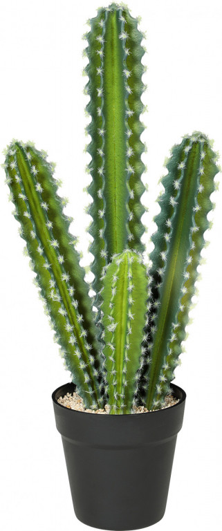 Umělý kaktus 53 cm | zelený