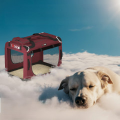 Přepravní box pro psy L 70x52x50cm |červená č.3