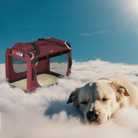 Přepravní box pro psy L 70x52x50cm |červená č.3