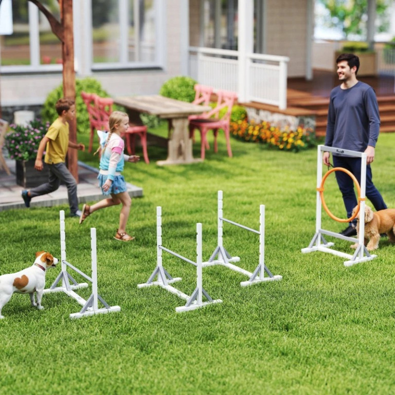 Agility překážky pro psy | bílé