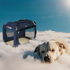 Přepravní box pro psy XL 82x58x58cm |modrá č.2