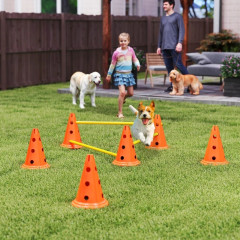 Agility set pro psy | oranžový + žlutý