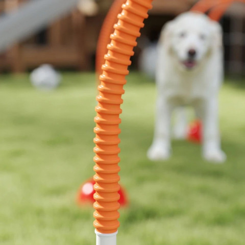 Sada vybavení pro agility psů | žlutá + oranžová č.5