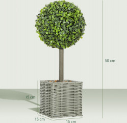 Sada 2 umělých zimostrázů v květináči 50 cm | zelené č.3