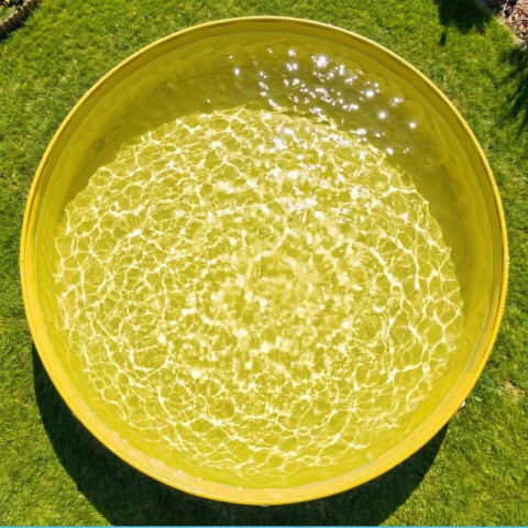 Skládací brouzdaliště pro velké psy 160 x 30 cm | modré č.5