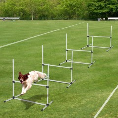 Agility prekážky pre psov 95 x 65 x 95 cm | biela č.2