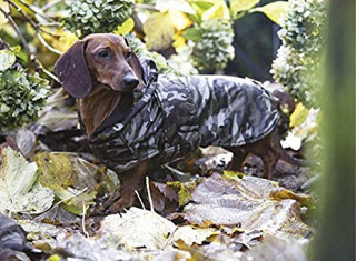 Psí oblečok Croci Dachshund military č.2