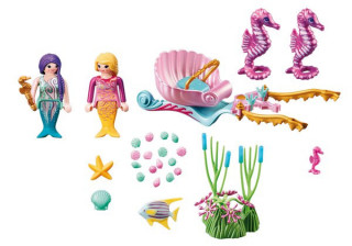 Playmobil 70033 StarterPack Kočiar s morskými koníkmi č.3