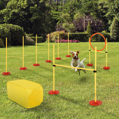 Prekážky agility pre psy s tunelom a kruhom