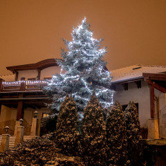 Vianočné LED osvetlenie 20 m studená biela 200 LED | zelený kábel č.3