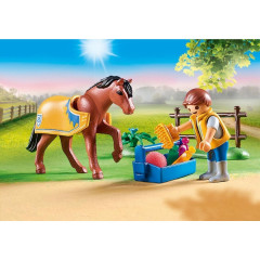 Playmobil 70523 Welsh Pony č.3