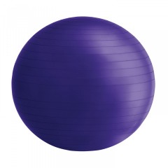 Gymnastická lopta 65 cm s pumpou, fialová č.1