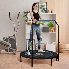 Fitness trampolína s výškově nastavitelnou rukojetí | Ø 102 cm č.2